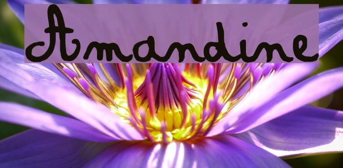 Amandine Шрифта examples