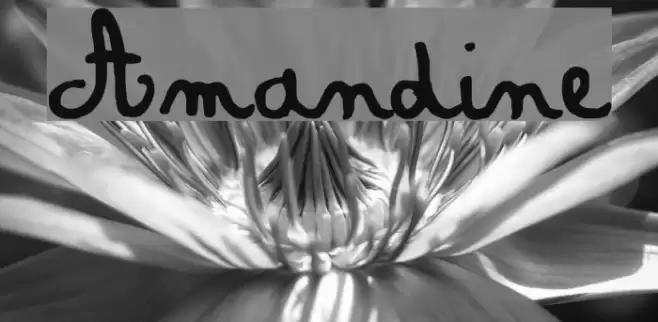 Amandine Font examples