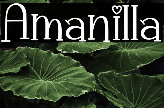 Amanilla Example 1