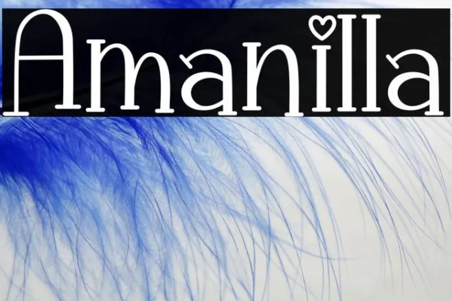 Amanilla Example 3