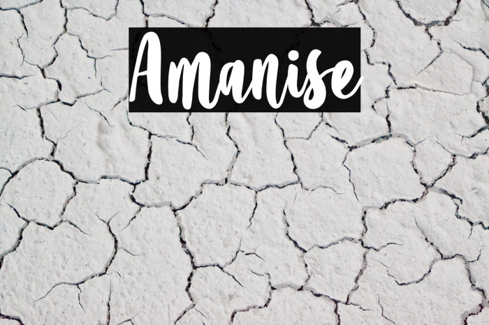 Amanise Example 3