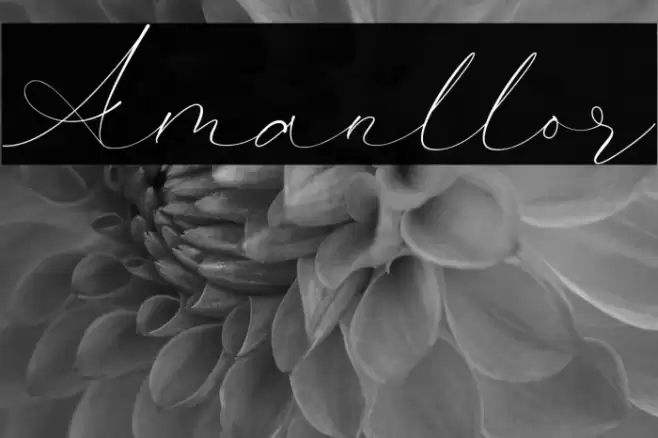 Amanllor Font examples