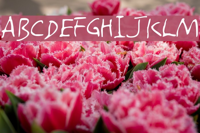 Amano Font examples