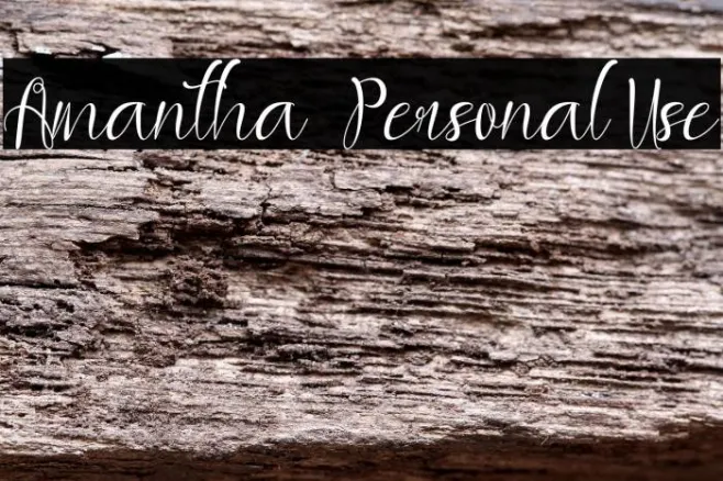 Amantha - Personal Use Example 2