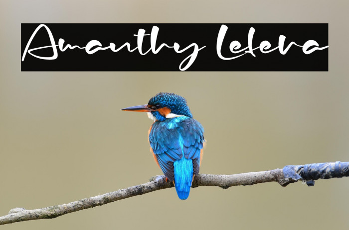 Amanthy Lefera Example 2