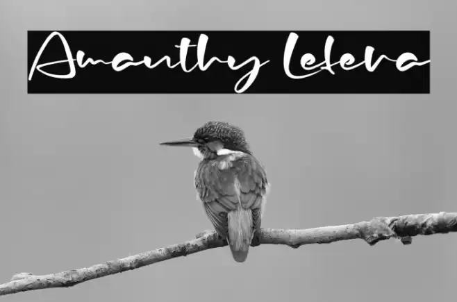 Amanthy Lefera Font examples