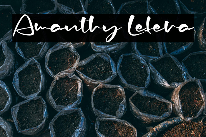 Amanthy Lefera Example 3