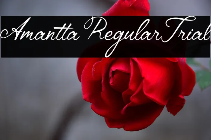 Amantta Regular Trial Example 1