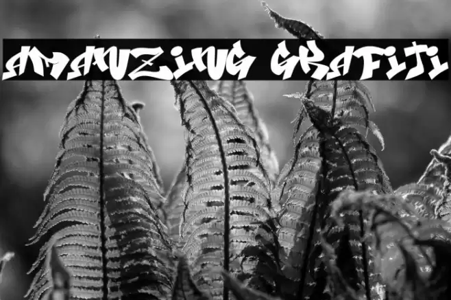 Amanzing Grafiti Font examples