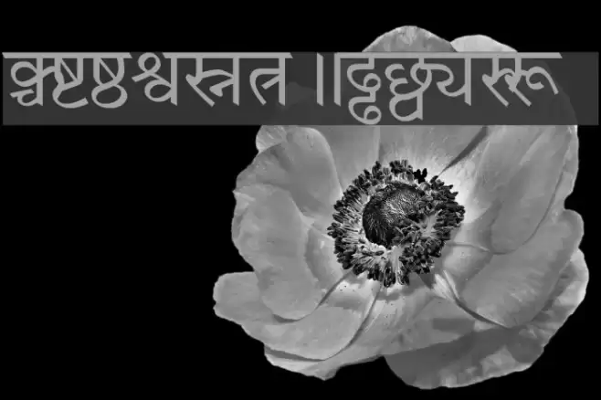 Amar Ujala Font examples