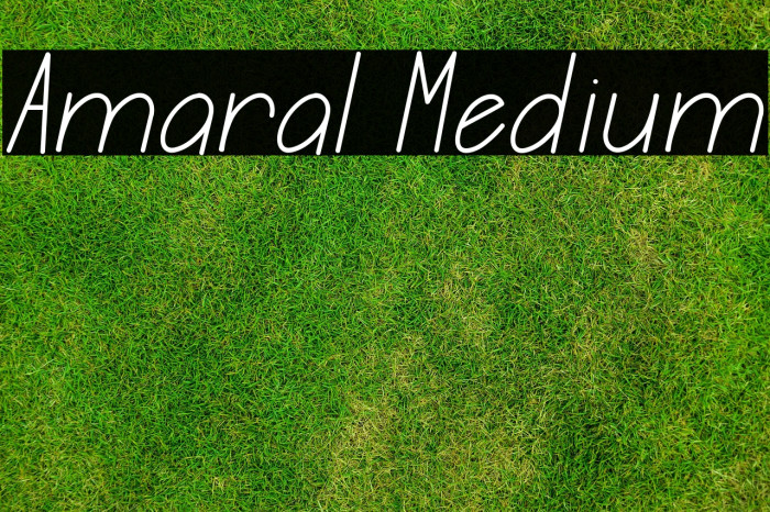 Amaral Medium Example 3