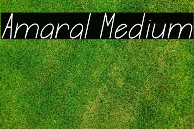 Amaral Medium Example 3