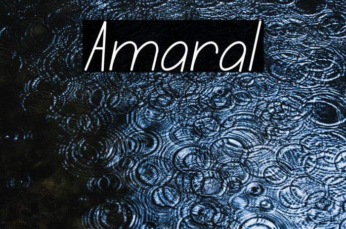 Amaral Example 1