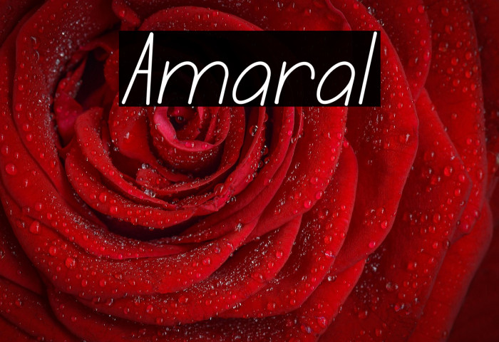 Amaral Example 2
