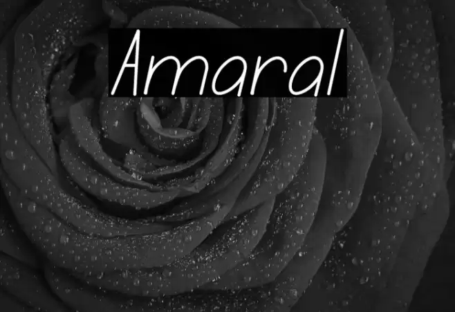 Amaral Font examples