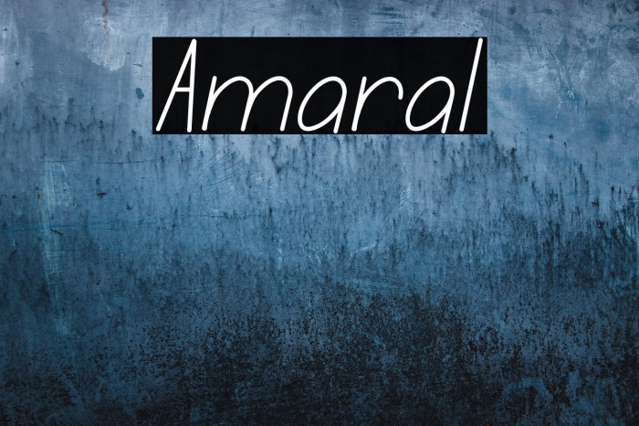 Amaral Example 3