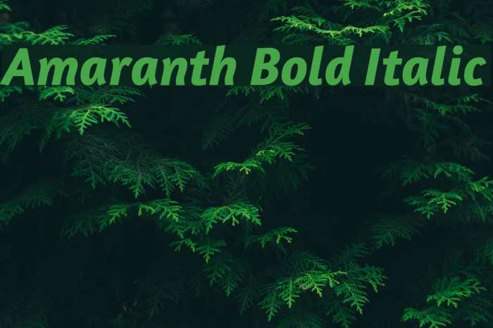 Amaranth Bold Italic Font examples