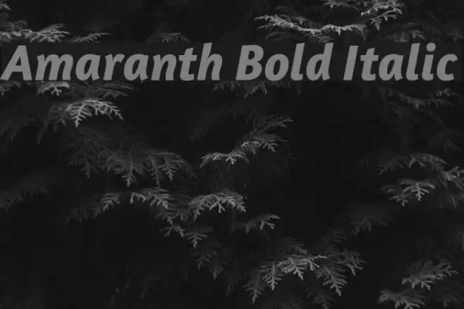 Amaranth Bold Italic examples