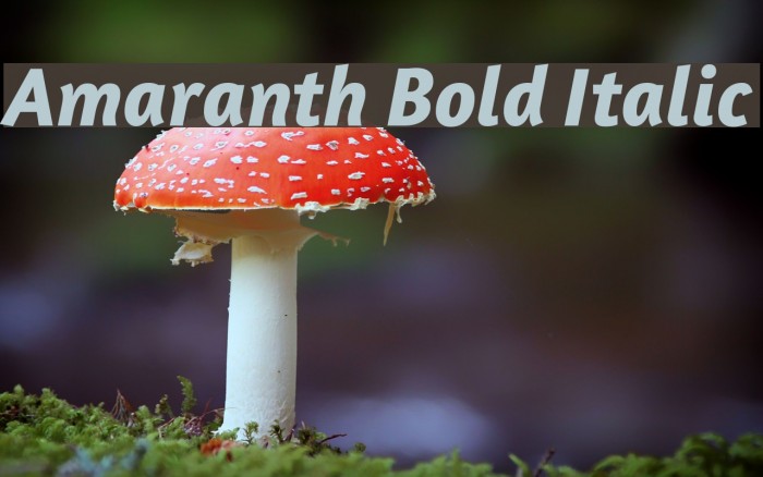 Amaranth Bold Italic Font examples