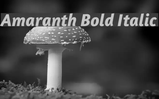 Amaranth Bold Italic examples
