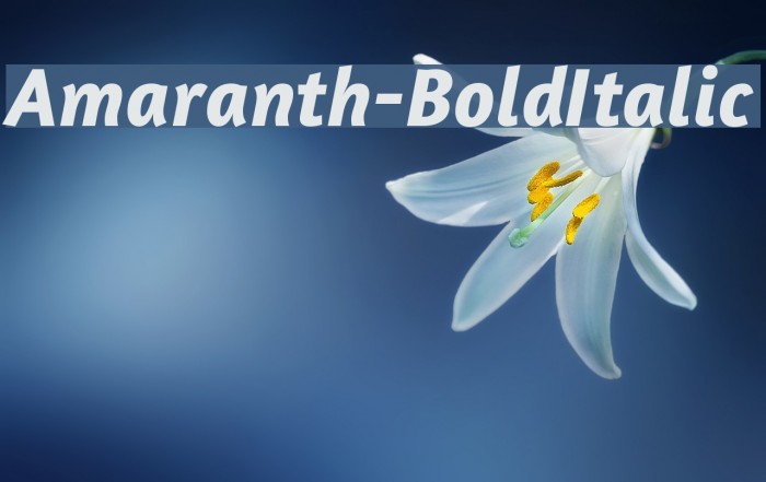 Amaranth-BoldItalic Font examples