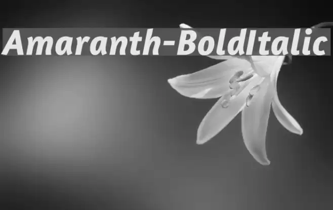 Amaranth-BoldItalic خط examples