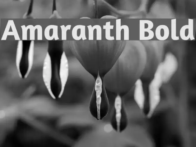 Amaranth Bold Font examples