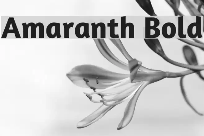 Amaranth Bold Font examples