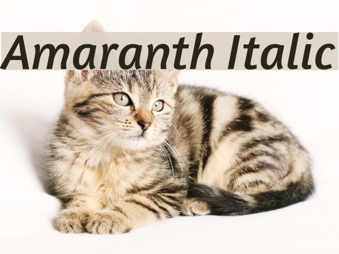 Amaranth Italic Font examples