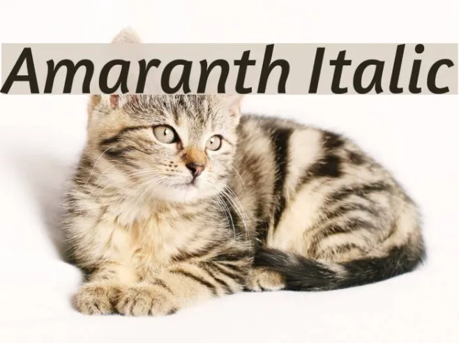 Amaranth Italic Example 1
