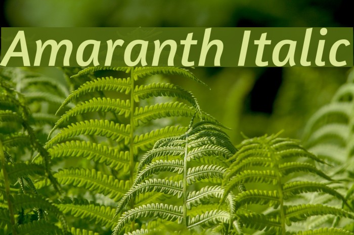 Amaranth Italic Font examples