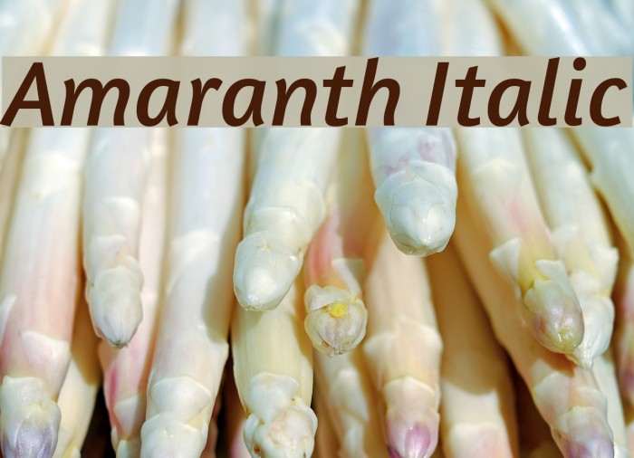 Amaranth Italic Font examples