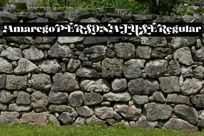 Amarego PERSONAL USE Regular Example 2