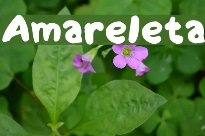 Amareleta Example 2