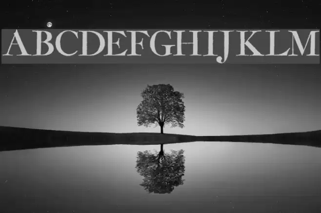 Amarfil Antiqua Font examples