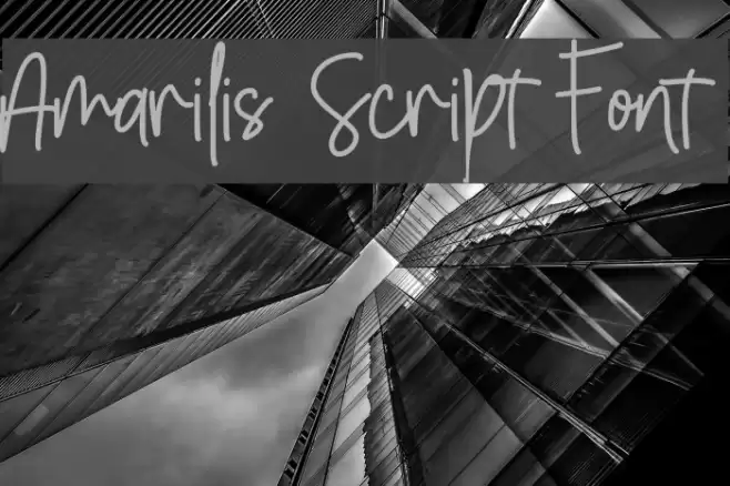 Amarilis Script Font Font examples