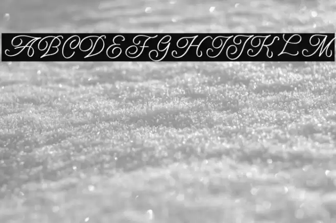 Amarillo regular script Polices examples