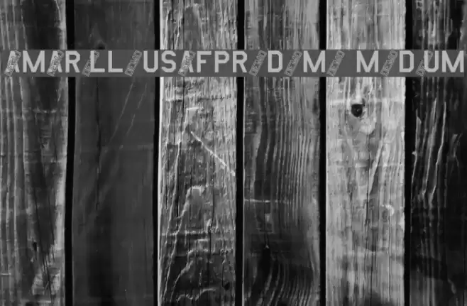 AmarilloUSAFProDemo Medium Fuentes examples