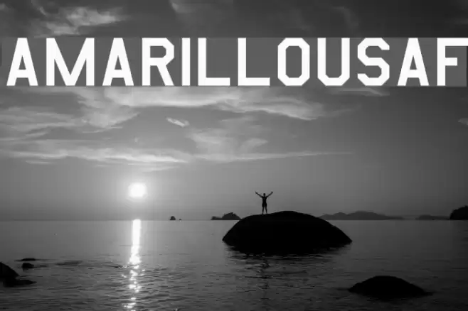 AmarilloUSAF Fonte examples