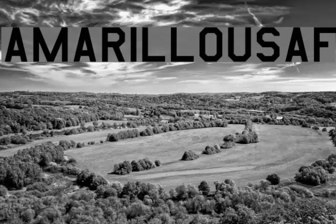 AmarilloUSAF Fonte examples