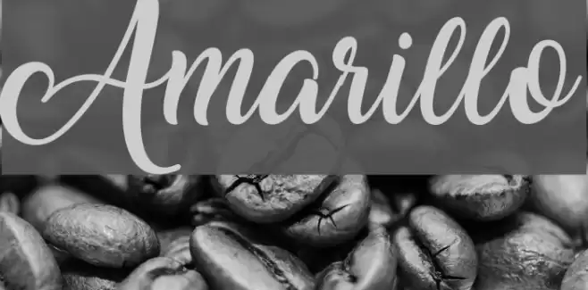 Amarillo Fuentes examples