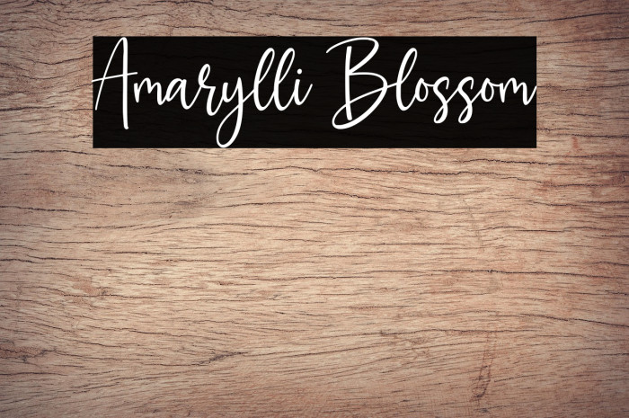 Amarylli Blossom Example 2