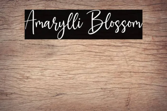 Amarylli Blossom Example 2