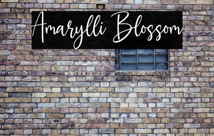 Amarylli Blossom Example 3