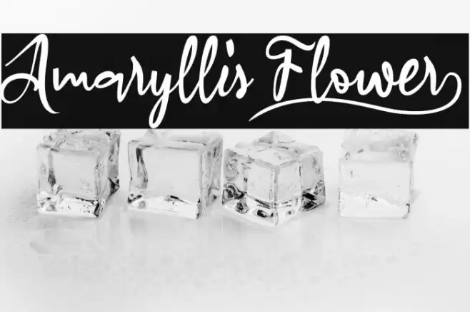 Amaryllis Flower_ Font examples