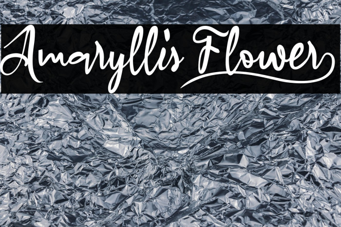 Amaryllis Flower_ Example 2