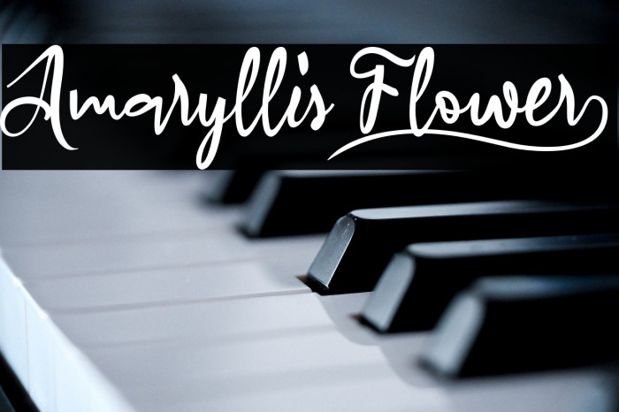 Amaryllis Flower_ Example 3