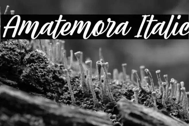 Amatemora Italic Font examples