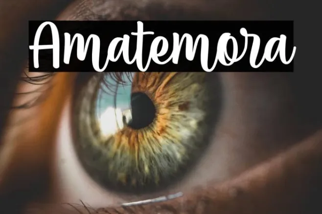 Amatemora Example 1