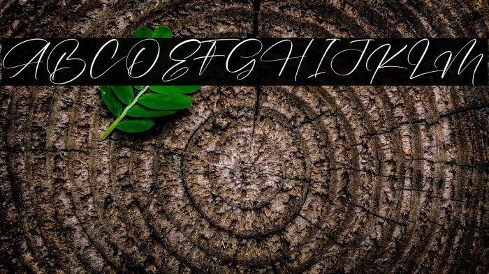 Amatera Hours Example 1